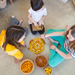 Grapat Grapat Loose Parts: Houten Honingraten Geel, 36st. (Mandala Yellow Honeycombs) -Kinderspeelgoed Verkoopwinkel grapat grapat loose parts houten honingraten geel 4