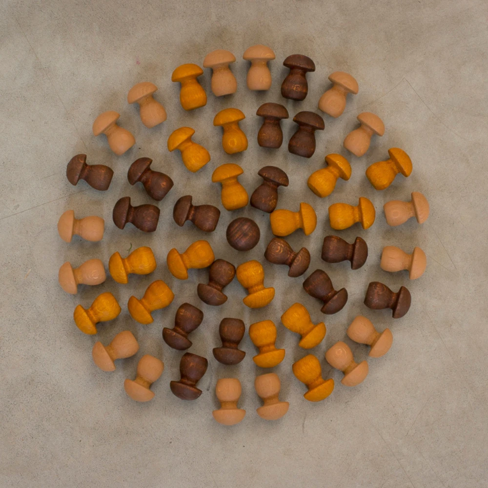 Grapat Grapat Loose Parts: Houten Paddenstoeltjes Bruin, 36 St. (Mandala Little Mushroom) 5 Grapat Grapat Loose Parts: Houten Paddenstoeltjes Bruin, 36 St. (Mandala Little Mushroom) - Afbeelding 3