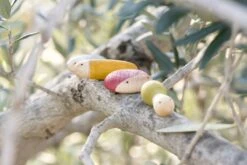 Grapat Houten Insecten 6 Kleuren, 18st. (insects)