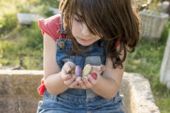 Grapat Houten Insecten 6 Kleuren, 18st. (insects) -Kinderspeelgoed Verkoopwinkel grapat houten insecten 6 kleuren 18st insects 5