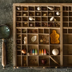 Grapat Houten Punt Poppetjes, 6st. In Koker (Baby Sticks) -Kinderspeelgoed Verkoopwinkel grapat houten punt poppetjes 6st in koker baby sti 3