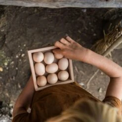 Grapat Opberg Doos (Storage Box) -Kinderspeelgoed Verkoopwinkel grapat opberg doos storage box 3