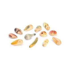 Grapat Wild 12 St -Kinderspeelgoed Verkoopwinkel grapat wild 12 st 4