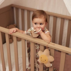 Jollein Babyspeelgoed - Siliconen Bijtring Teddy Bear