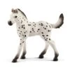 Schleich Schleich Horse Club - Knabstrupper Veulen -Kinderspeelgoed Verkoopwinkel schleich schleich horse club knabstrupper veulen