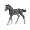 Schleich Schleich Horse Club - Trakehner Veulen 1 Schleich Schleich Horse Club - Trakehner Veulen -Kinderspeelgoed Verkoopwinkel schleich schleich horse club trakehner veulen