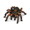 Schleich Schleich Wild Life - Tarantula -Kinderspeelgoed Verkoopwinkel schleich schleich wild life tarantula