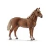 Schleich (UA) Schleich Morgan Horse Hengst -Kinderspeelgoed Verkoopwinkel schleich ua schleich morgan horse hengst