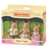 Sylvanian Families Sylvanian Families - Familie Kangoeroe -Kinderspeelgoed Verkoopwinkel sylvanian families sylvanian families familie kang
